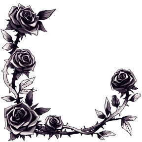 Top likes widget frame